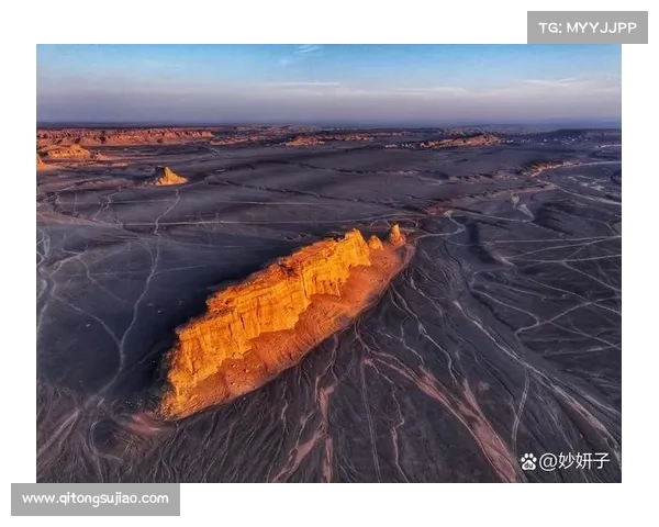 心灵之旅:在广袤荒漠中与自然和谐对话的深刻体验 心灵之旅:在广袤荒漠中与自然和谐对话的深刻体验