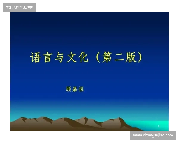 了解巴舒亚伊语言背景的多维视角与文化探讨
