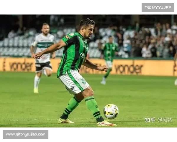 如何参与北美洲杯赛事活动并体验精彩赛事的多种方式